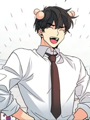 Chapter 212.0