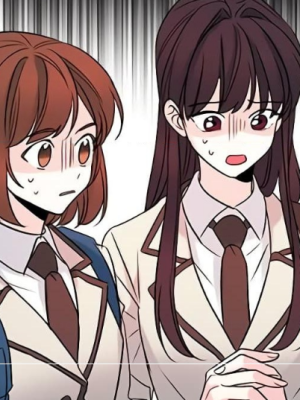 Chapter 217.0
