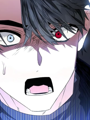 Chapter 95.0