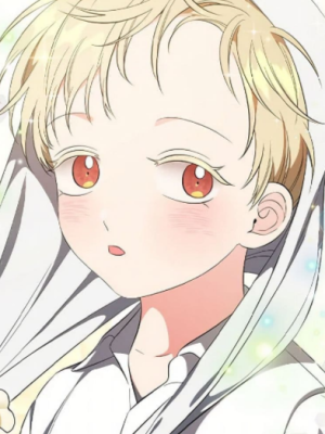 Chapter 48.0