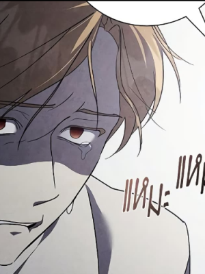 Chapter 41.0