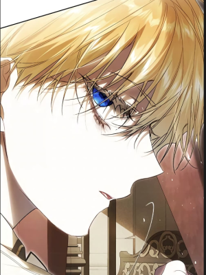 Chapter 95.0